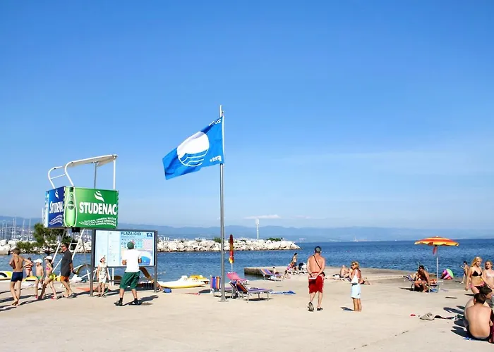Apartment With Parking Space Icici, Opatija - 14155