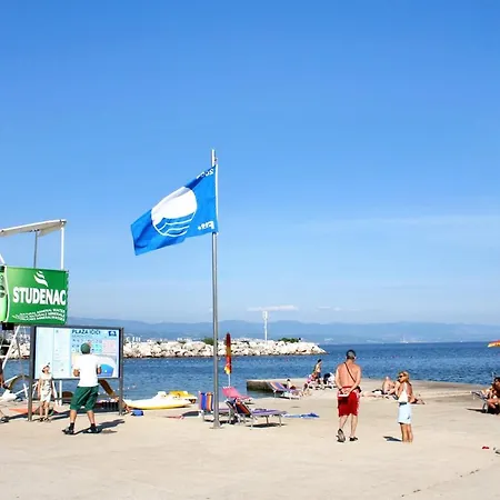Apartment With A Parking Space Icici, Opatija - 14155